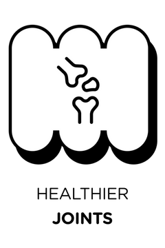 Benefits icon with a knee joint illustration on a white background with text 'Healthier Joints'.